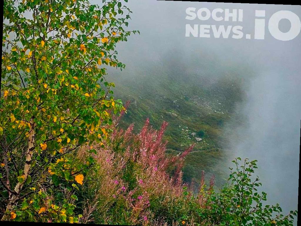 Неделя в Сочи начнется с туманов