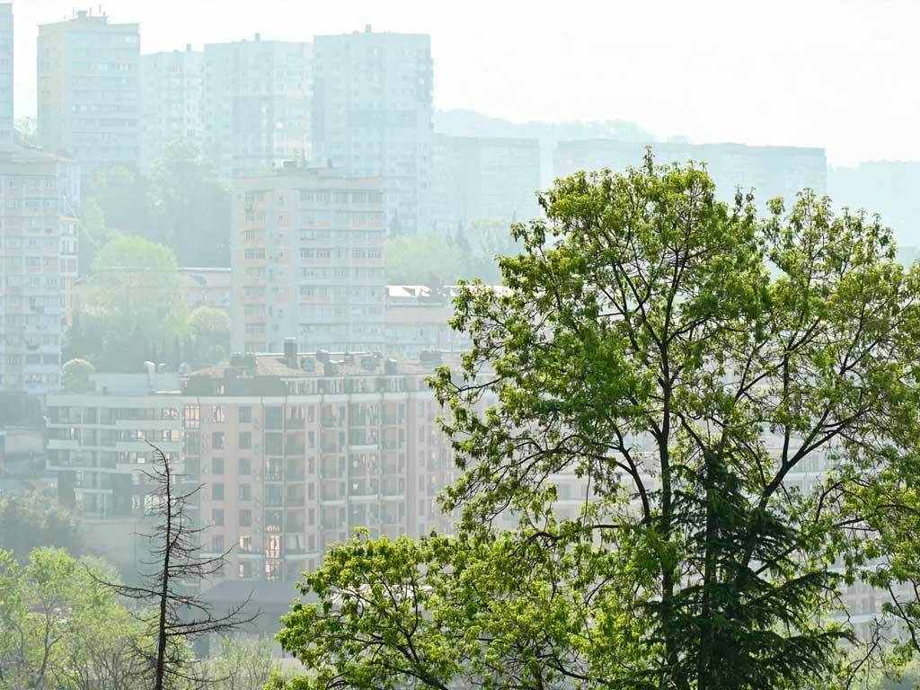 Дожди и туман ожидаются в Сочи на выходные