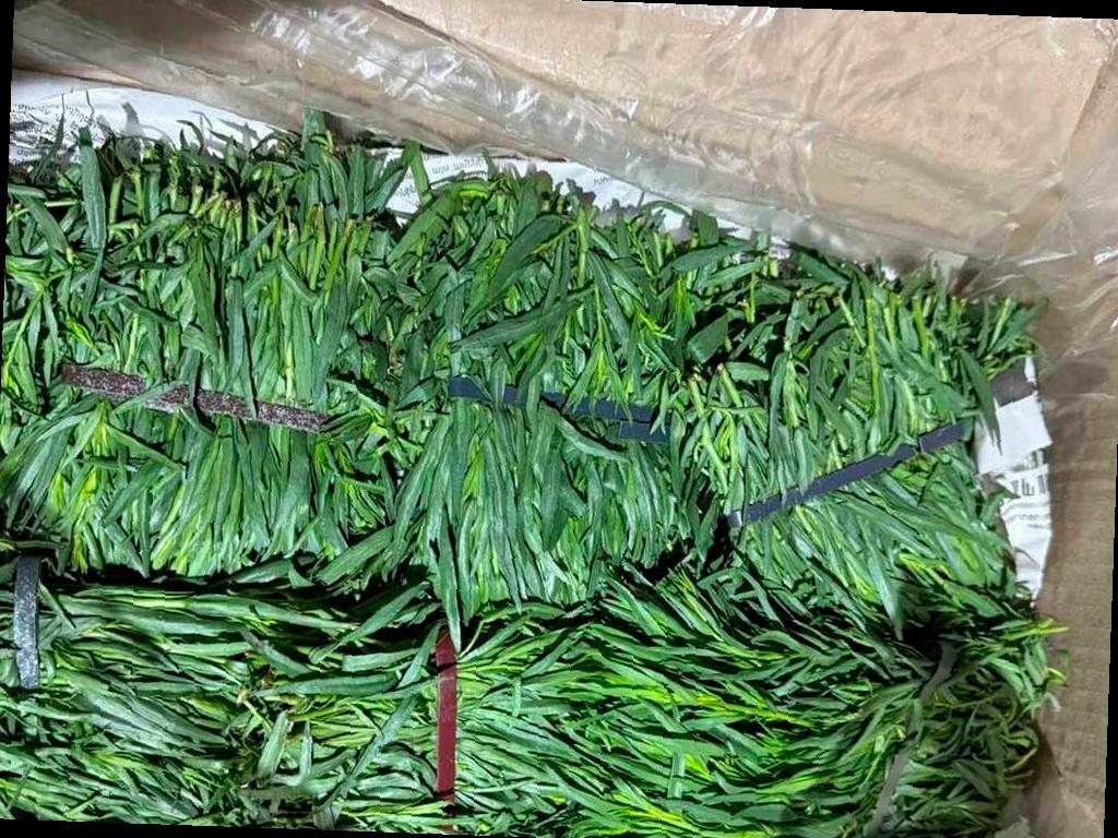 Обнаружена партия тархуна из Армении в аэропорту Сочи