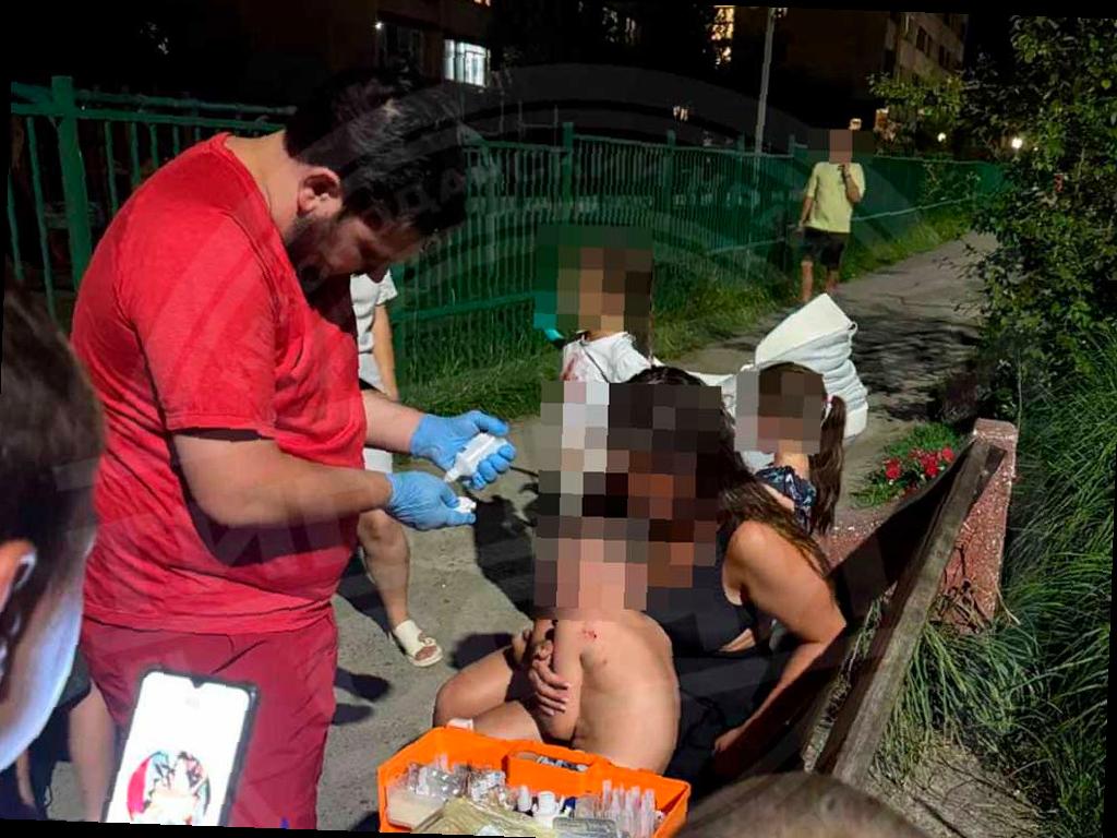 В Сочи собака напала на ребенка на детской площадке