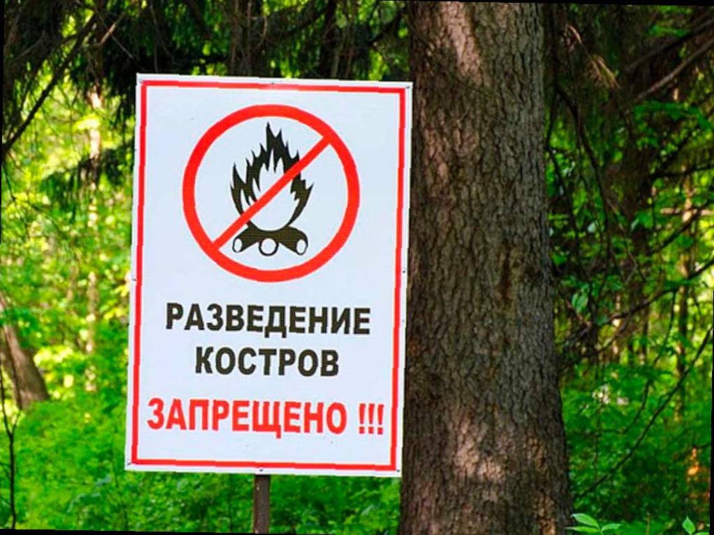 В Сочи объявили пожароопасность 4 класса