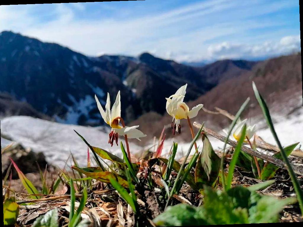 Фотовыставка победителей конкурса «Четыре сезона красоты» откроется в Сочи
