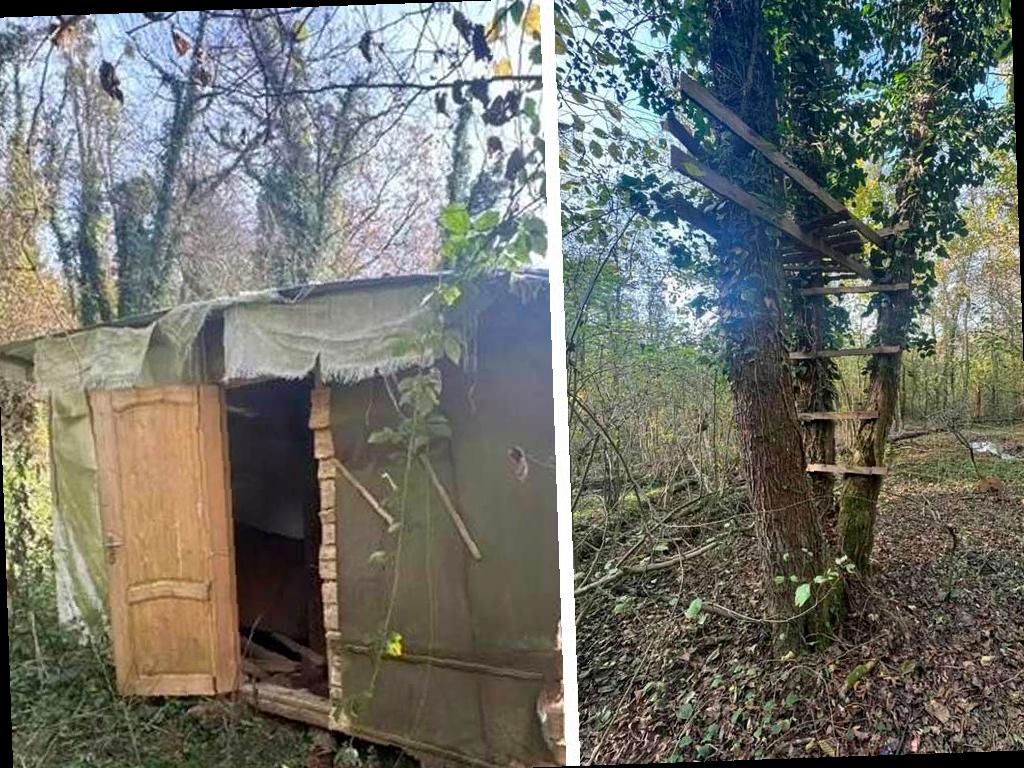 В Сочинском нацпарке обнаружено браконьерское укрытие