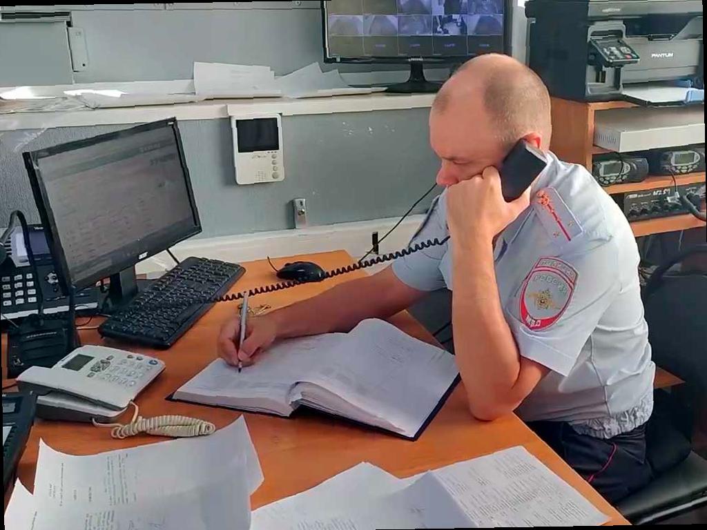 В Сочи проверяют случаи стрельбы по животным
