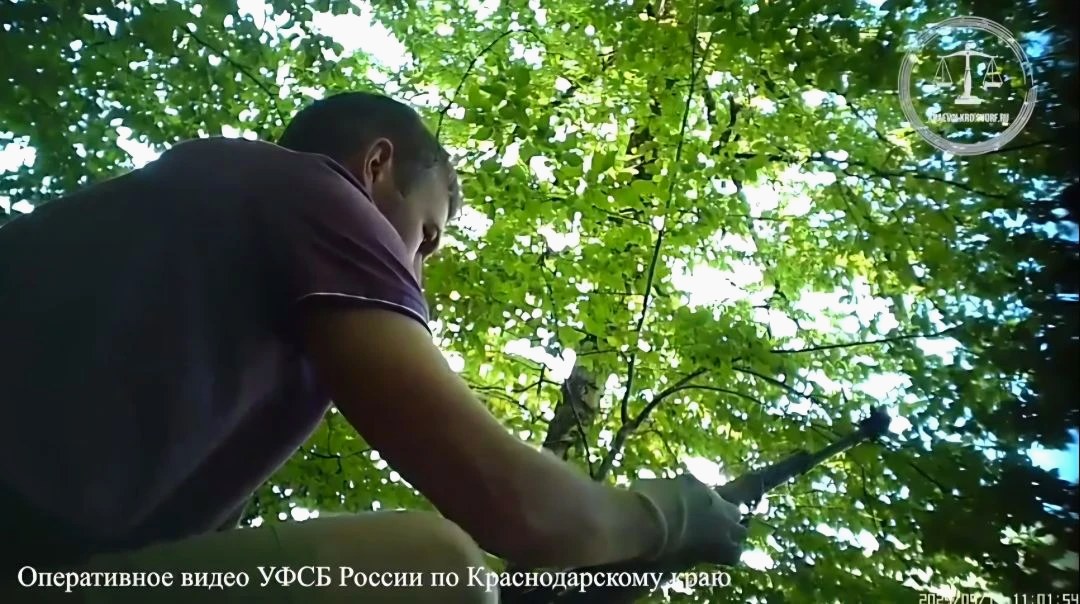 Приговор в Сочи: 6 лет колонии за хранение и сбыт оружия