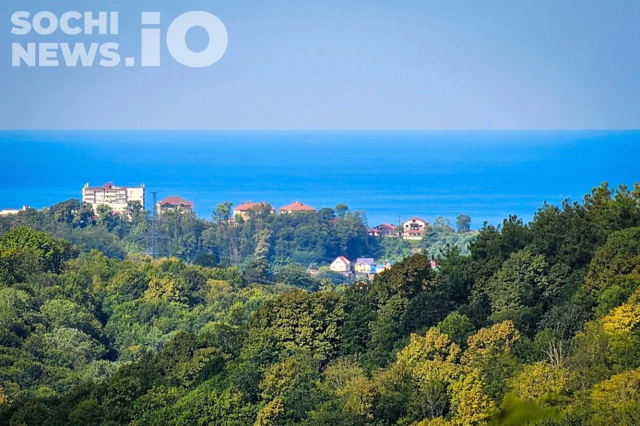 Температура воды в Черном море у Сочи ниже комфортной для купания