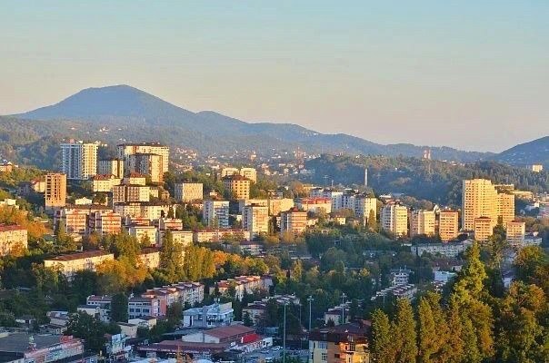 Контроль за торговлей и парковкой в Сочи принес 23,5 миллиона рублей