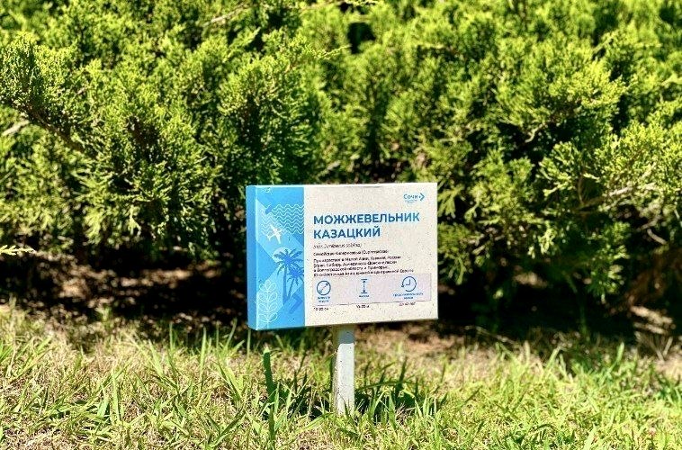 Новый тропический сад открыт в аэропорту Сочи с 325 тысячами растений
